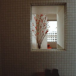 Perraton Apartment 25_zen view window from shower_Stephen Varady Photo ©