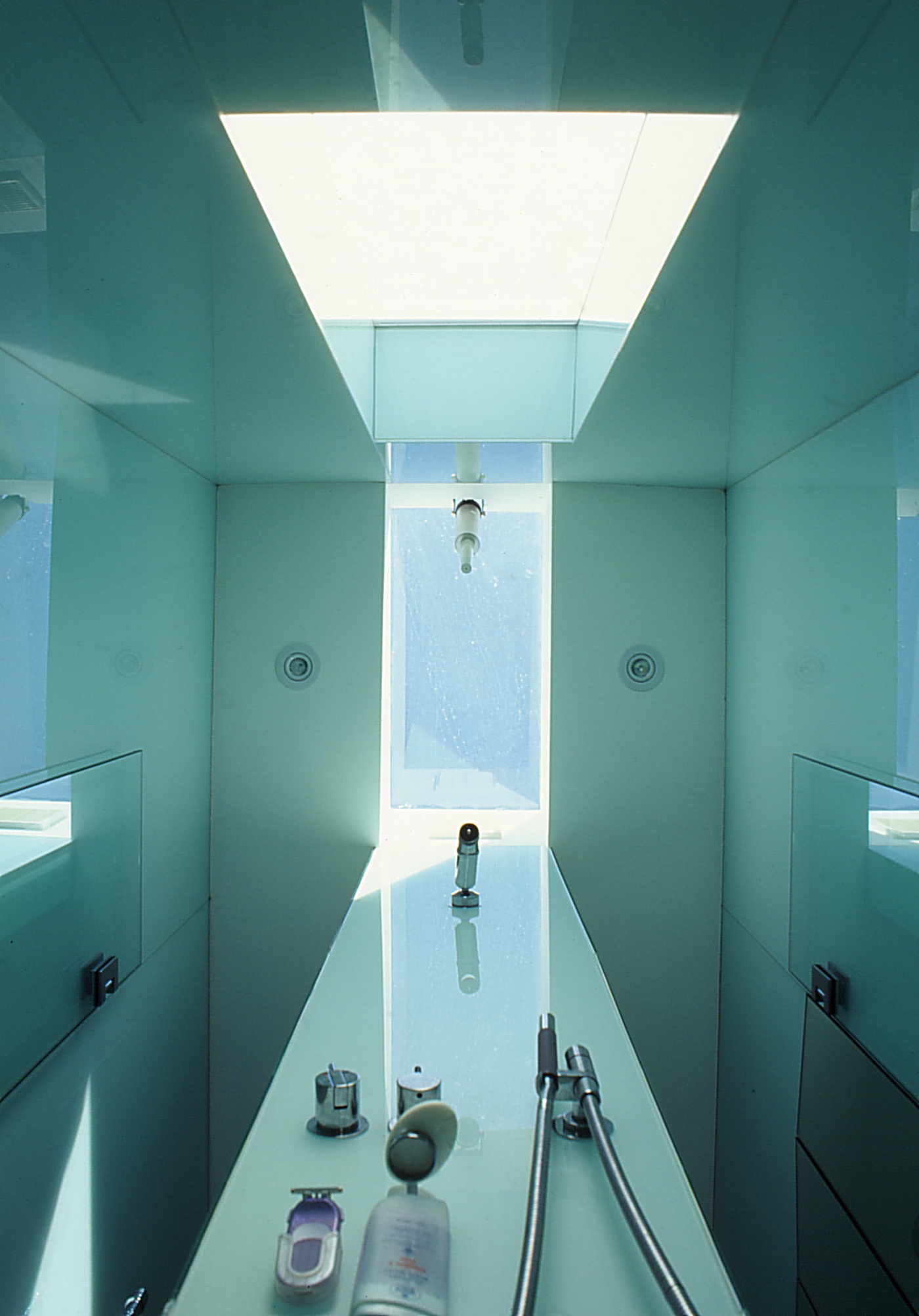 Pace McEwin Residence 46_en-suite ceiling + skylight_Stephen Varady Photo ©